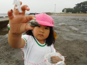貝をカメラに向けて見せている女の子